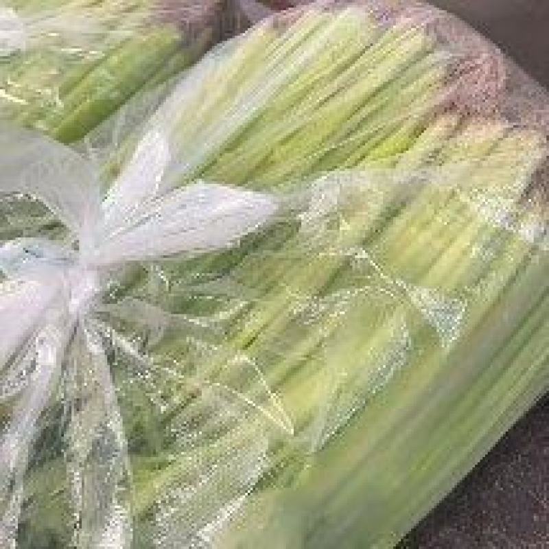 精品香芹