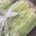 精品香芹