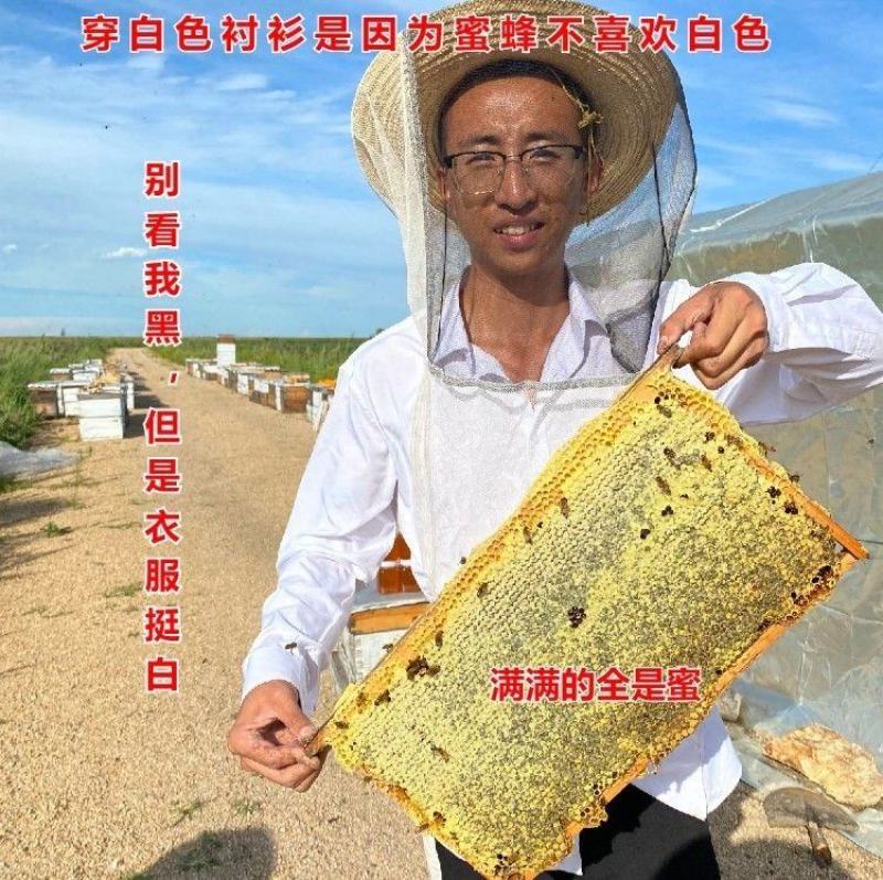 东北土蜂蜜深山纯正天然百花蜜农家自产结晶成熟