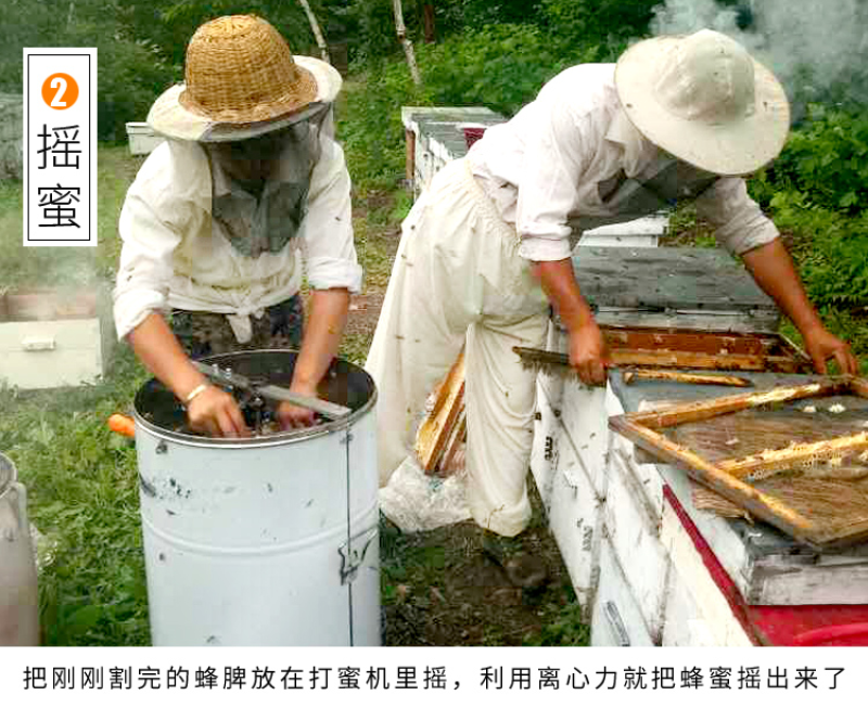 东北土蜂蜜深山纯正天然百花蜜农家自产结晶成熟