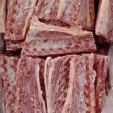 羊脊骨
