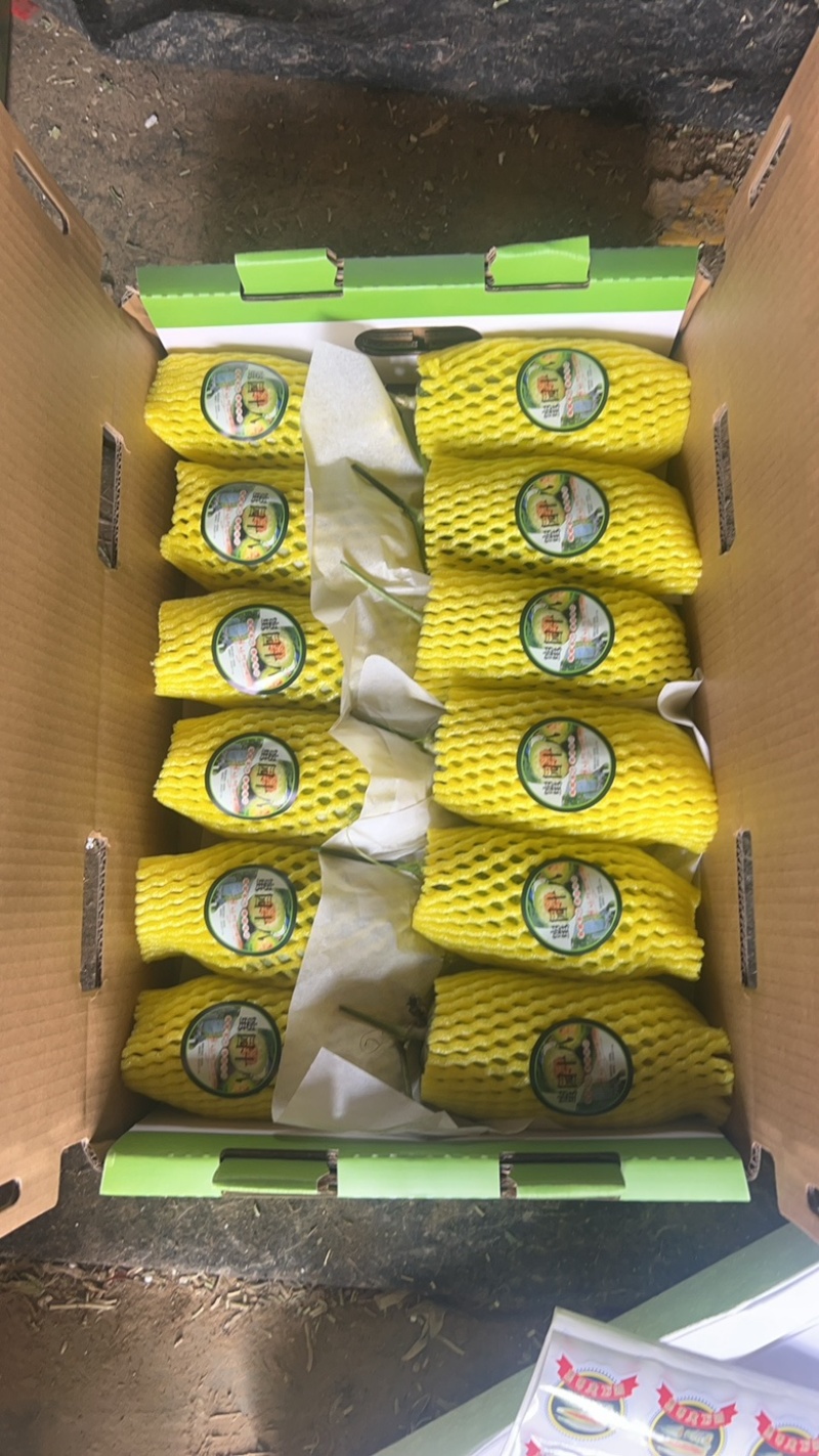 博洋甜瓜博洋72蜜源18蜜77凯蜜88社区团购，精品市场