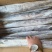 钓B带鱼钓带鱼300/500500/700