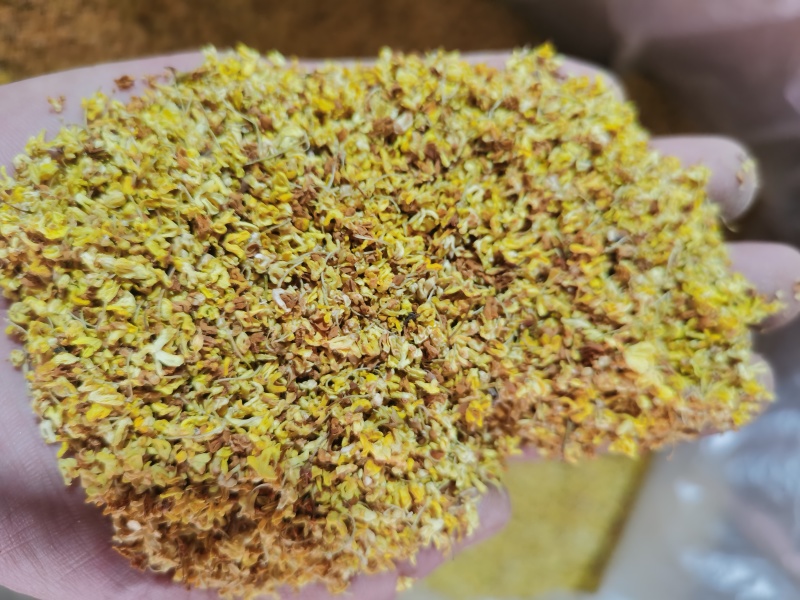 桂花茶用新货桂花香味扑鼻泽润中药