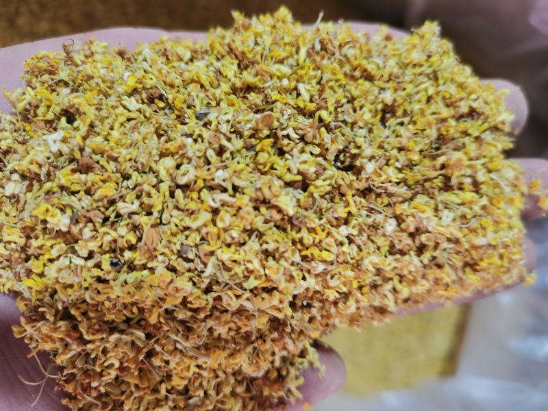 桂花茶用新货桂花香味扑鼻泽润中药