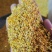 桂花茶用新货桂花香味扑鼻泽润中药