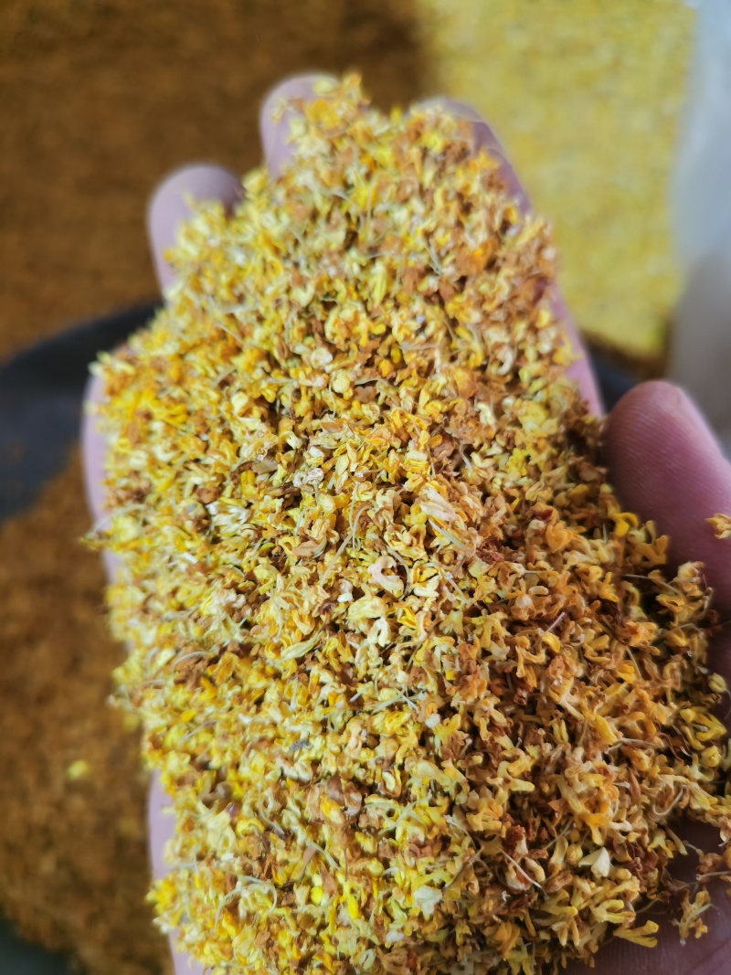 桂花茶用新货桂花香味扑鼻泽润中药