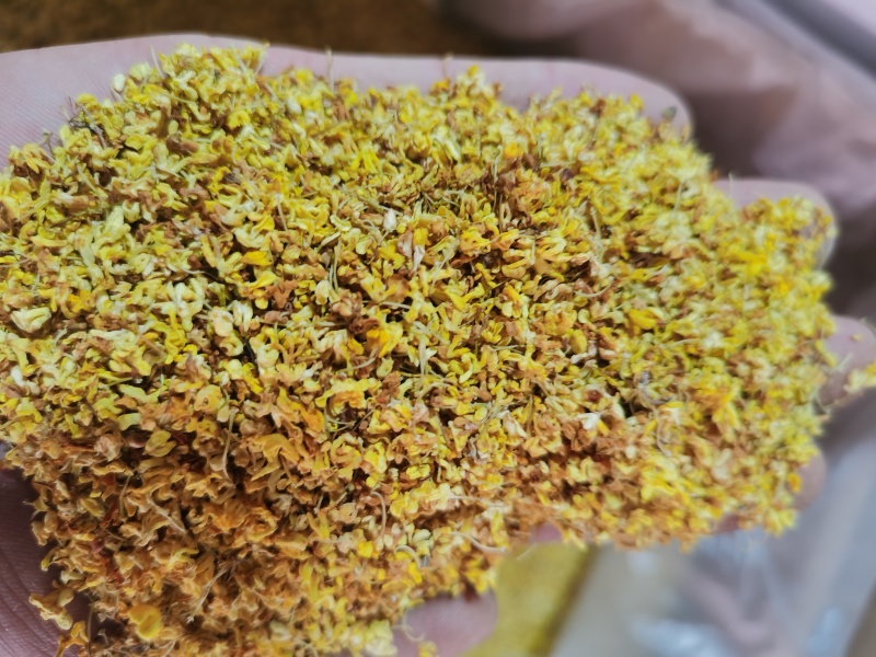桂花茶用新货桂花香味扑鼻泽润中药