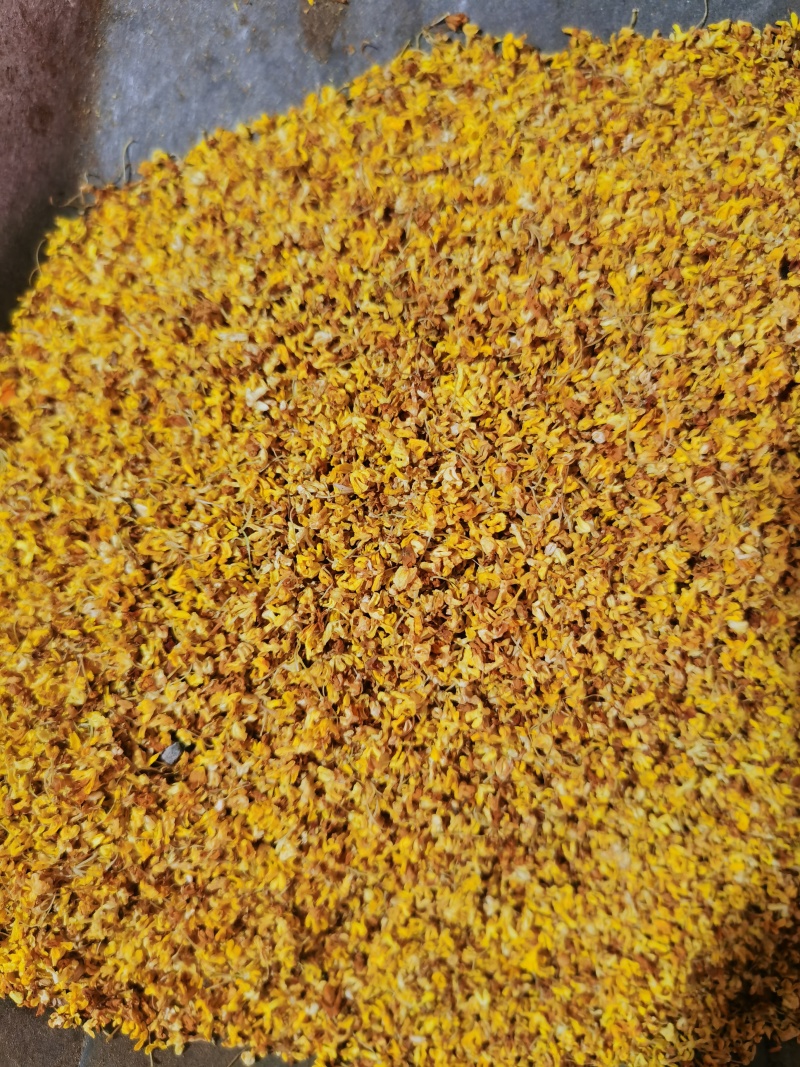 桂花茶用新货桂花香味扑鼻泽润中药