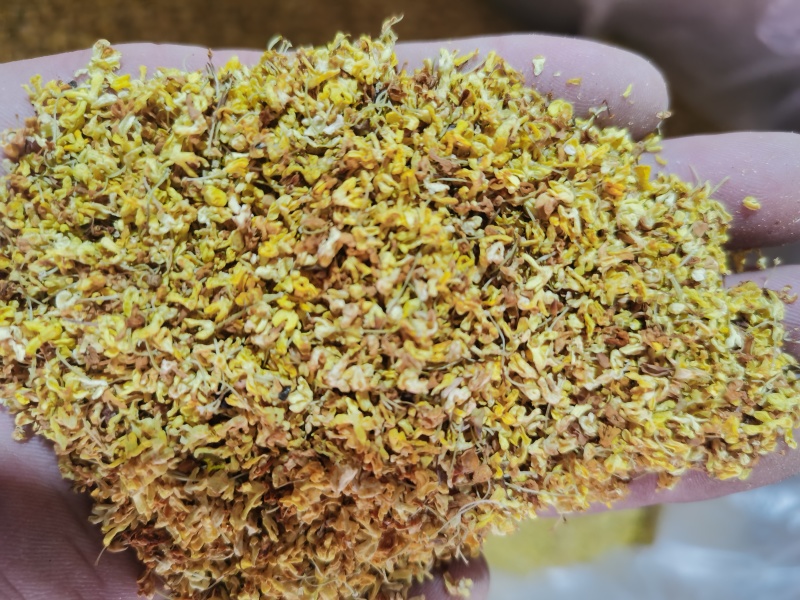 桂花茶用新货桂花香味扑鼻泽润中药