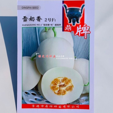 鼎牌雪奶香2号甜瓜种子脆甜耐裂早熟薄皮甜瓜种籽奶香浓郁
