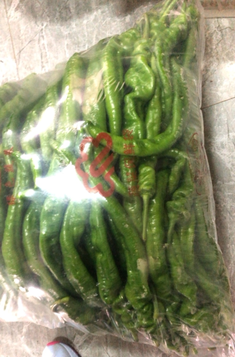 高原夏菜，精品螺丝椒，欢迎咨询，品质保证