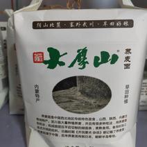 内蒙古荞麦面粉，旱田种植，纯荞面粉