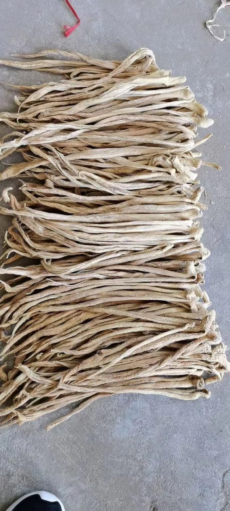 精品白萝卜条大根条干度高出成率高价格实惠