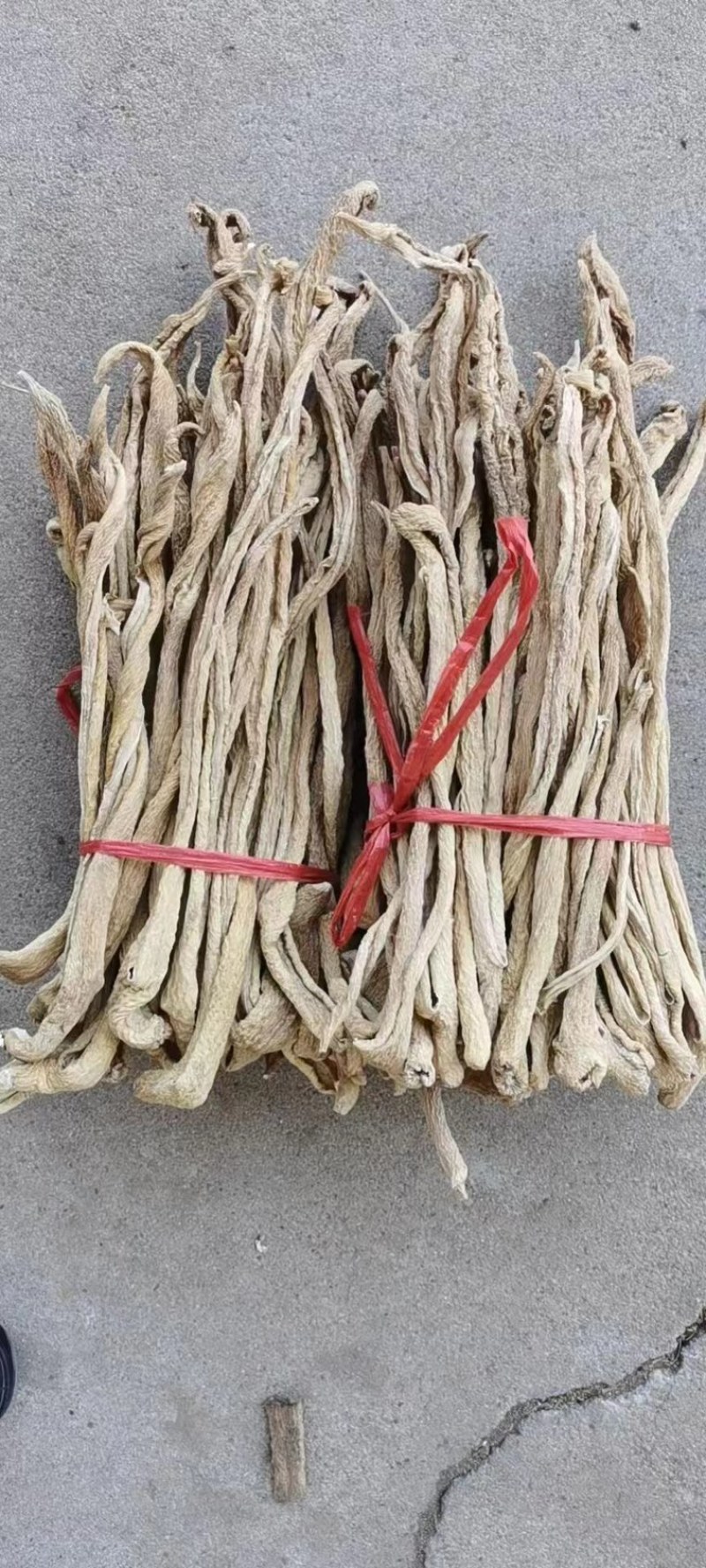 精品白萝卜条大根条干度高出成率高价格实惠