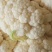 陕西汉中精品实花，紧花，乳白花，质量好，颜色好，个头大，