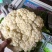陕西汉中精品实花，紧花，乳白花，质量好，颜色好，个头大，