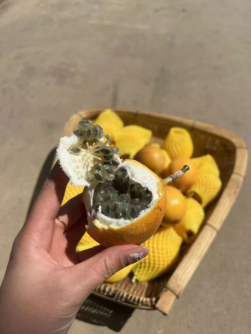 热情果