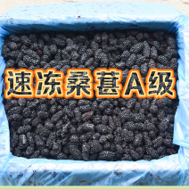 A级速冻桑葚原料冷冻桑葚工厂直供酒厂货奶茶原料