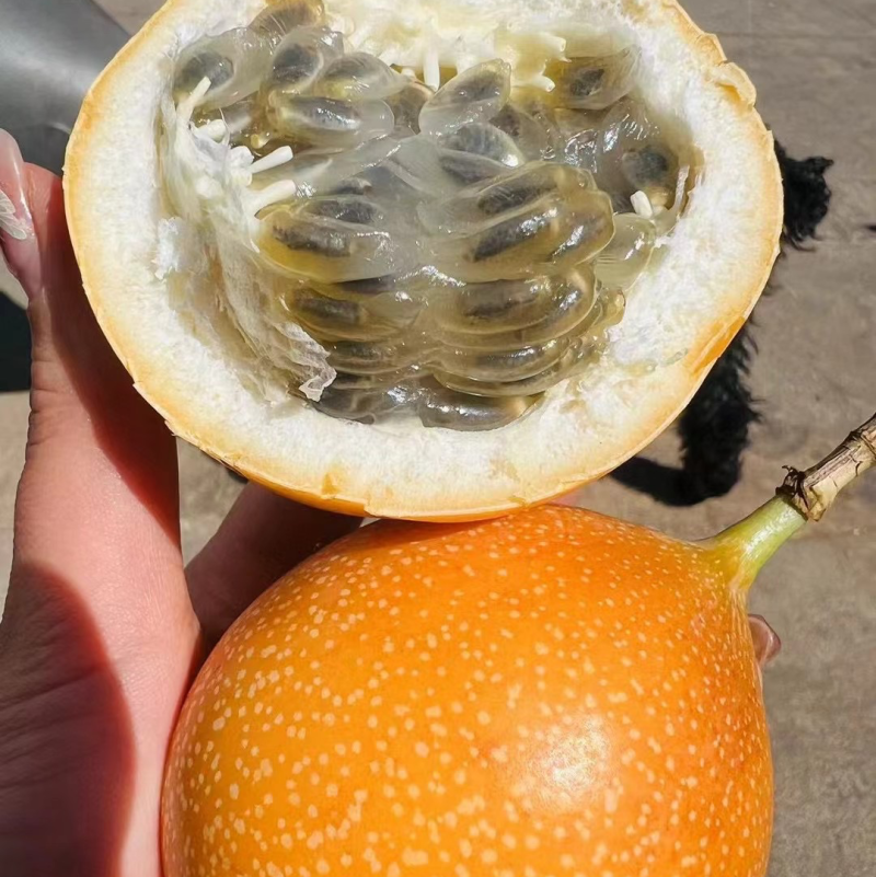 热情果