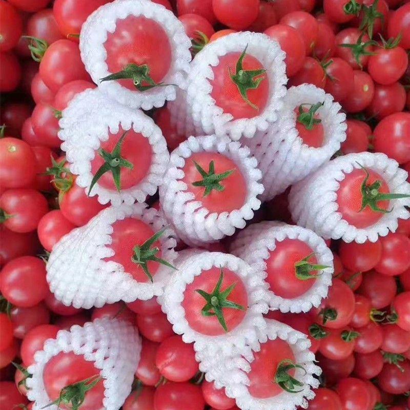 四川贝贝樱桃千禧小番茄整箱小西红柿圣女果当季新鲜水果孕妇