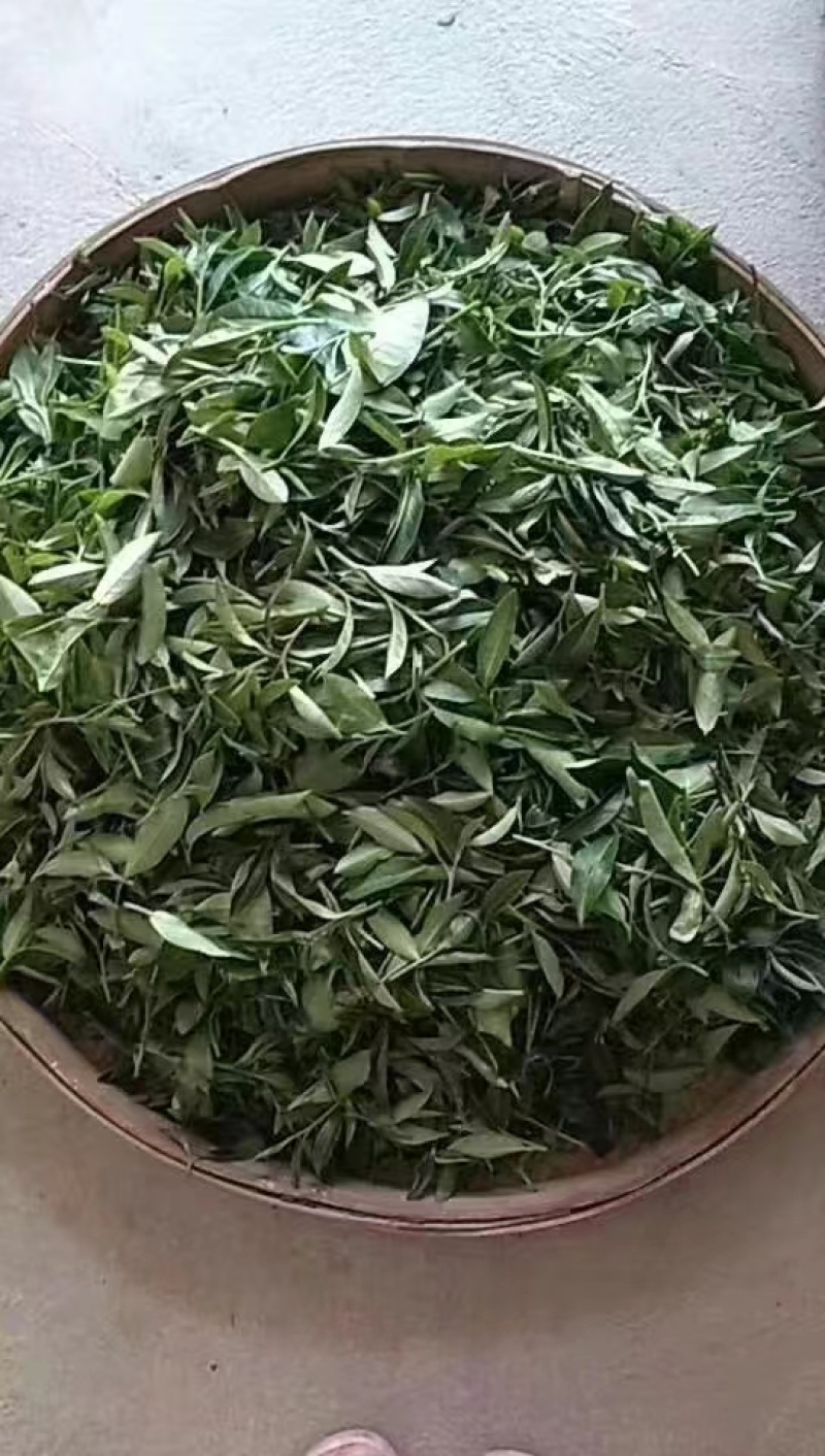 手工制作高山红茶