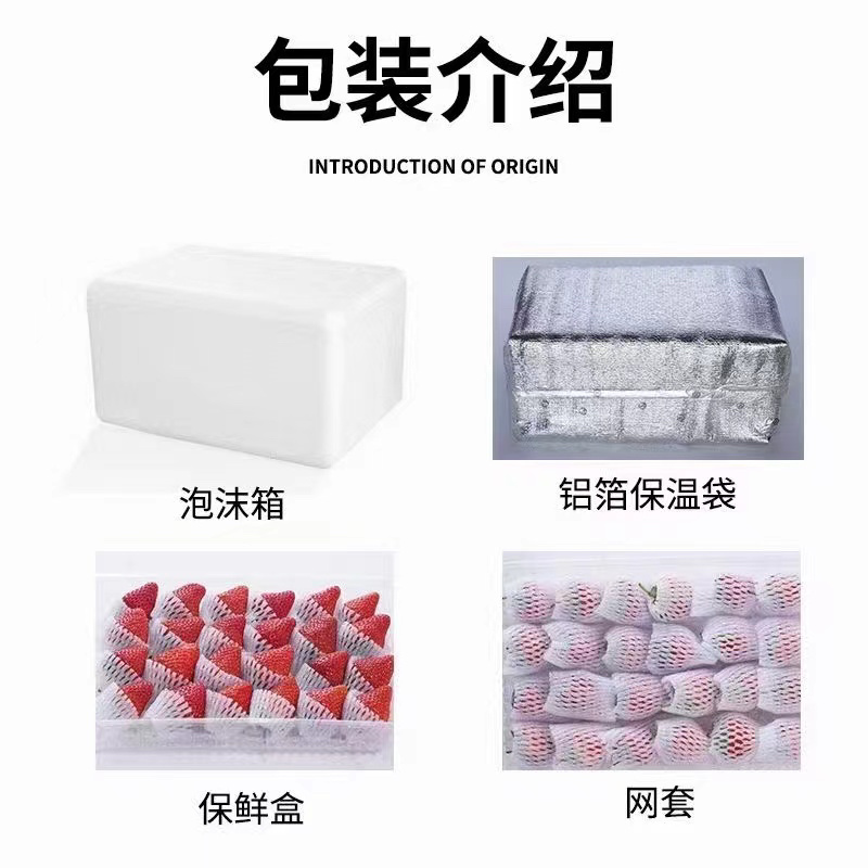 辽宁丹东红颜九九草莓产地直可谈价格一手货源来电详谈