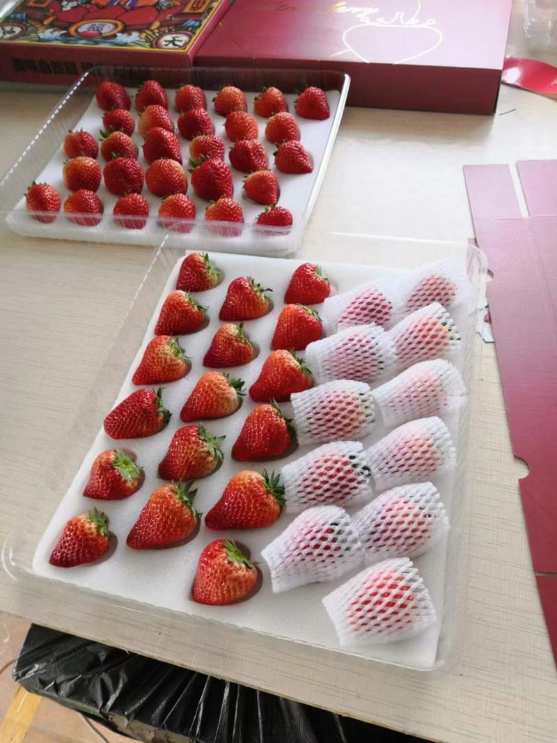辽宁丹东红颜草莓产地直发质量保证一手货源来电详谈
