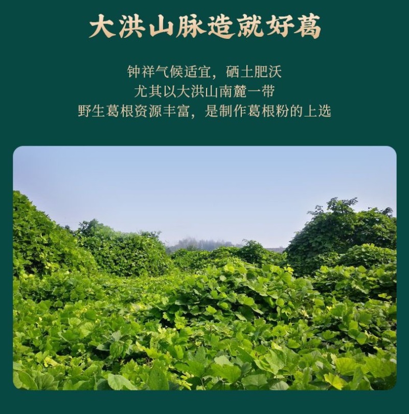 正宗野生葛根粉钟祥特产新鲜柴葛根粉天然纯正品不添加