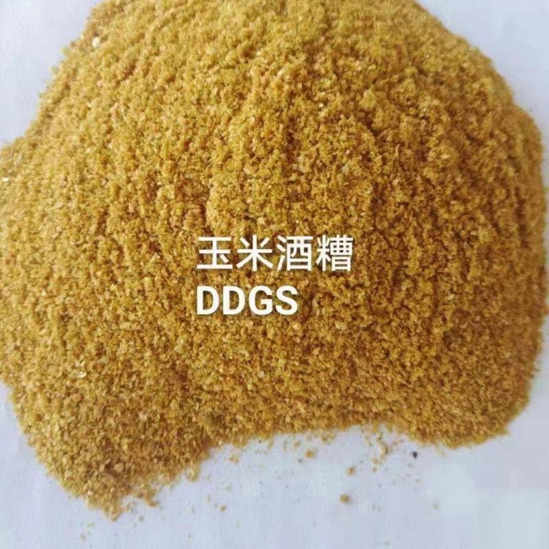 烘干DDGS玉米酒糟高蛋白饲料可代替部分豆粕，棉粕