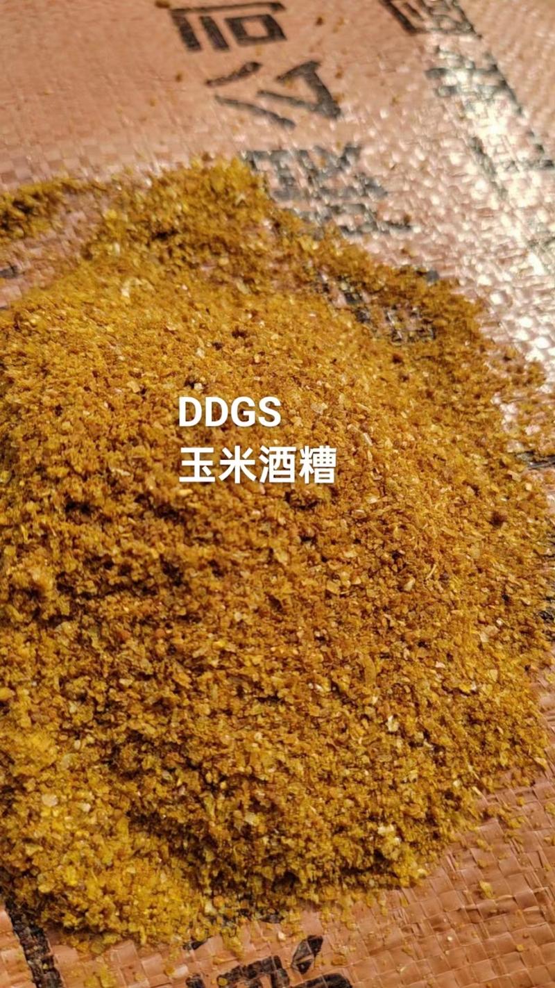 烘干DDGS玉米酒糟高蛋白饲料可代替部分豆粕，棉粕