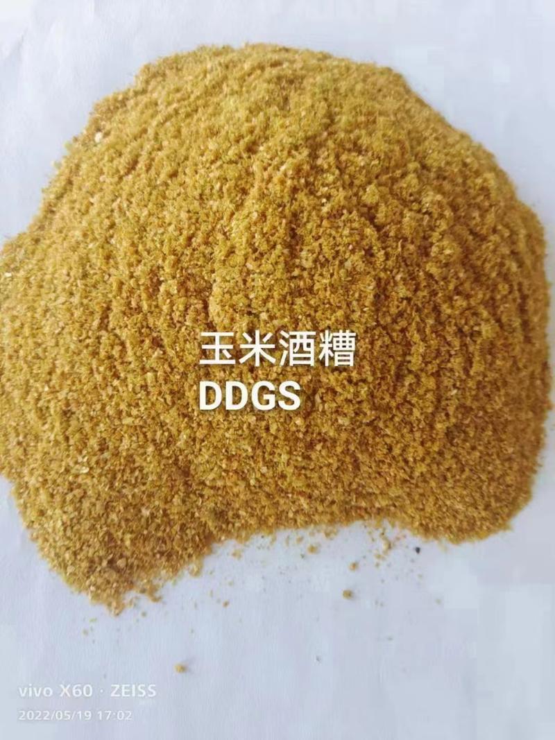 烘干DDGS玉米酒糟高蛋白饲料可代替部分豆粕，棉粕