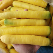 【热卖推荐】湖北优质黄胡萝卜现挖现发对接商超社区