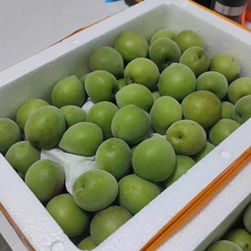 诏安青梅原产地一手代办直发一手果农