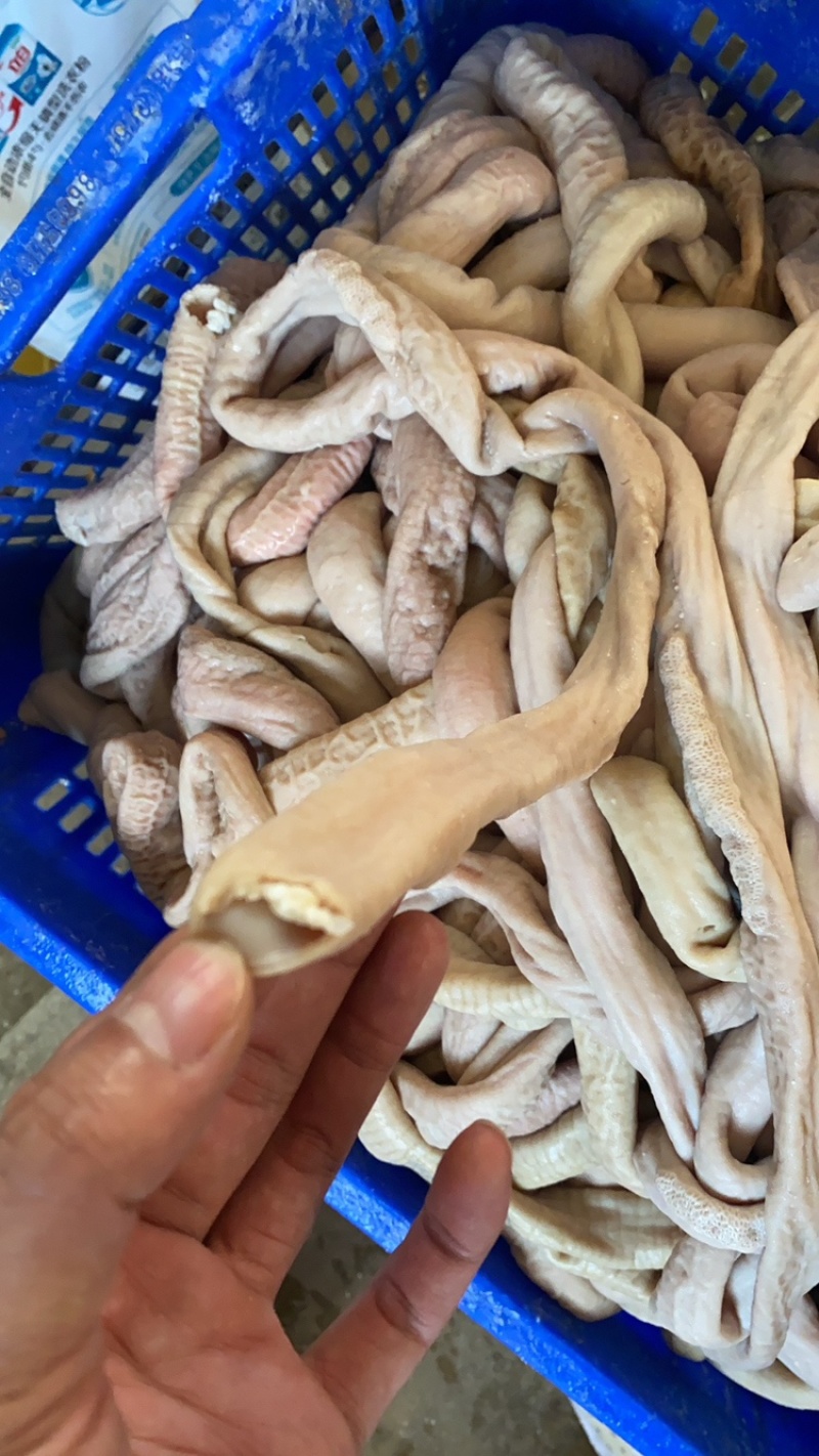 小肠飞水牛小肠货源稳定屠宰场直发，品质保障欢迎咨询