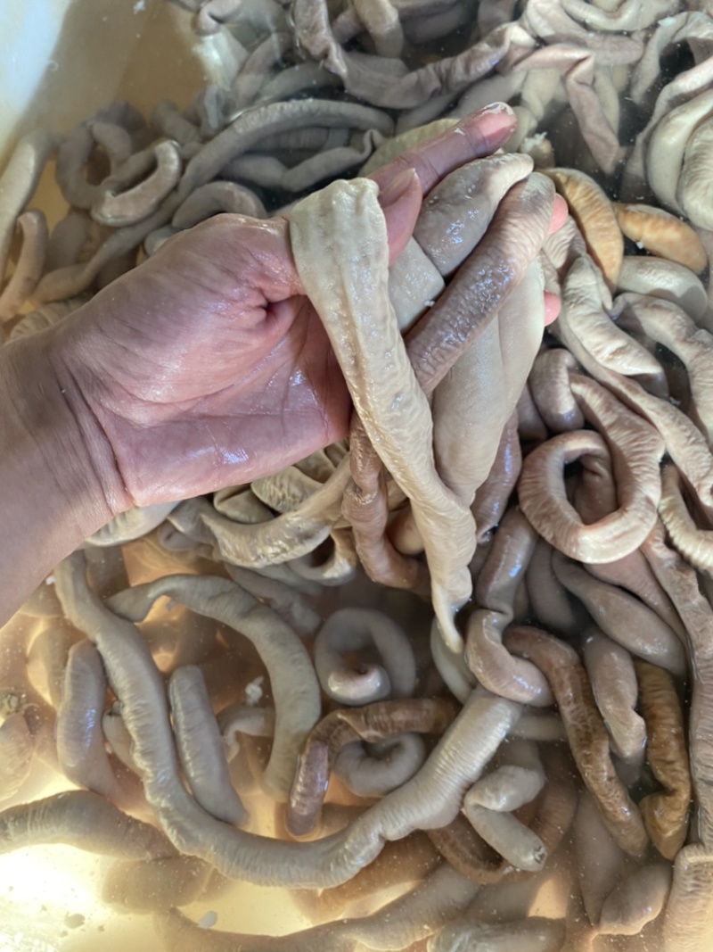 小肠飞水牛小肠货源稳定屠宰场直发，品质保障欢迎咨询