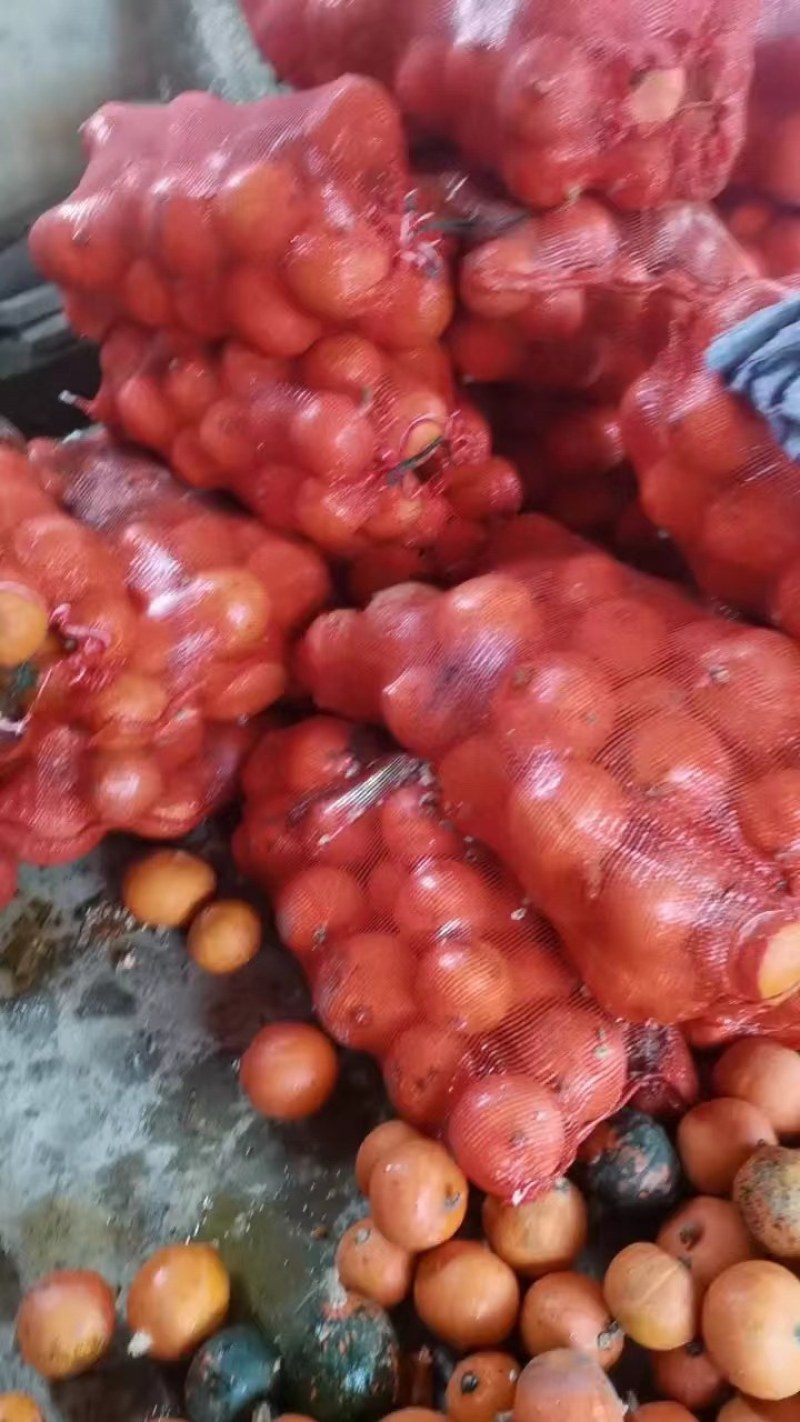 红瓜