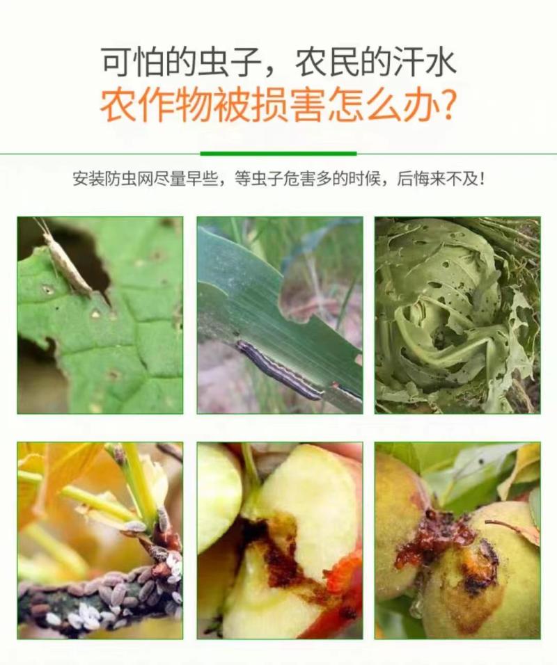 果蔬大棚防虫网养殖场防虫网露天果蔬瓜菜防护网