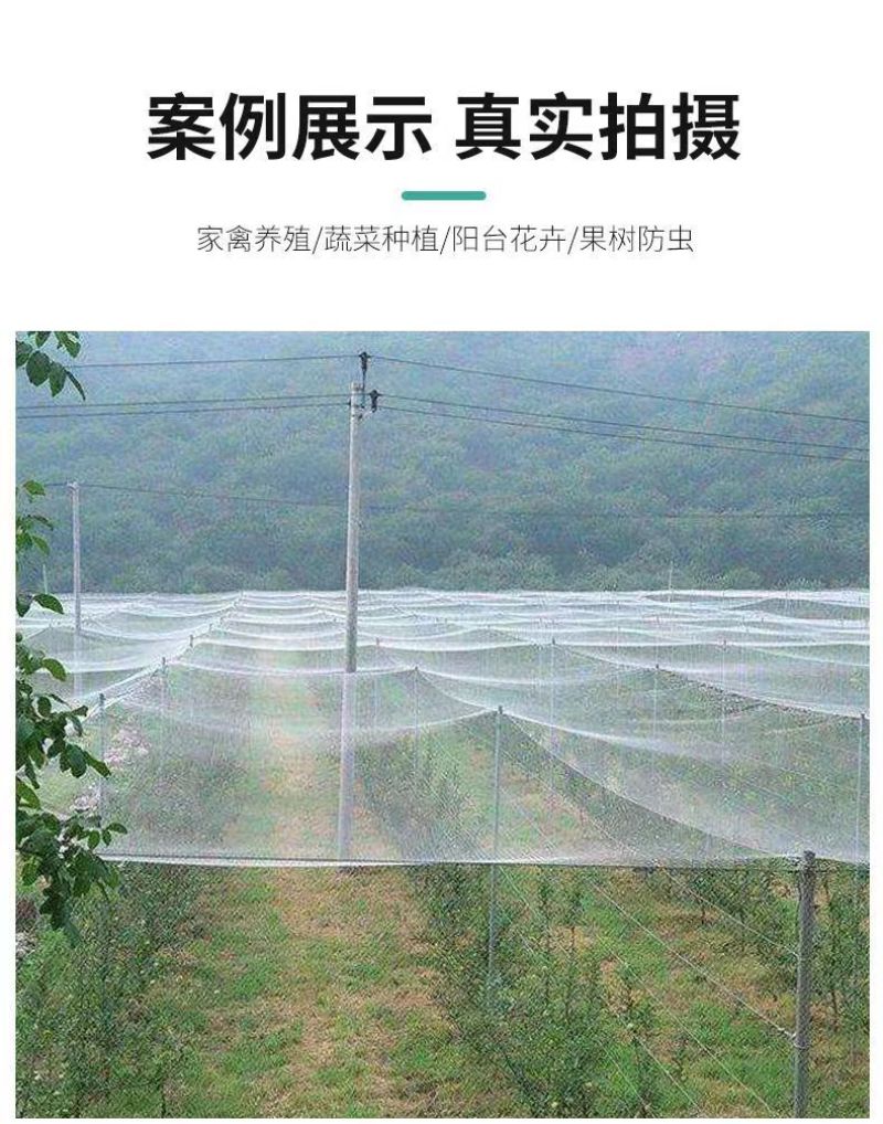 果蔬大棚防虫网养殖场防虫网露天果蔬瓜菜防护网