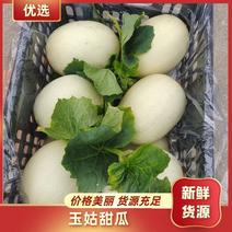 【推荐】浙江台州三门玉菇甜瓜代收质量保证诚信经营