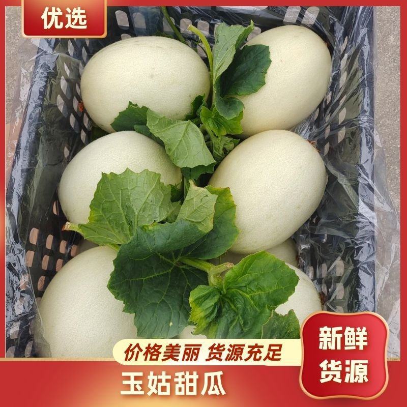 【推荐】浙江台州玉菇甜瓜代收代发产地直供质量保诚信经营
