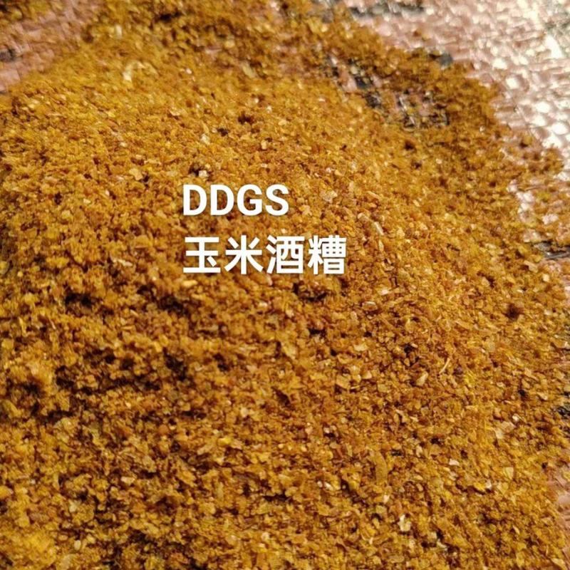 低价出售各地区DDGS玉米蛋白饲料质量稳定工厂直发