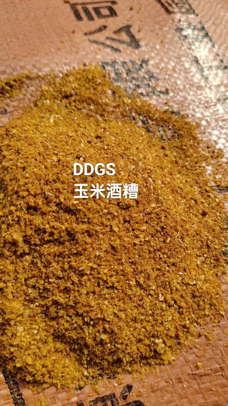 低价出售各地区DDGS玉米蛋白饲料质量稳定工厂直发