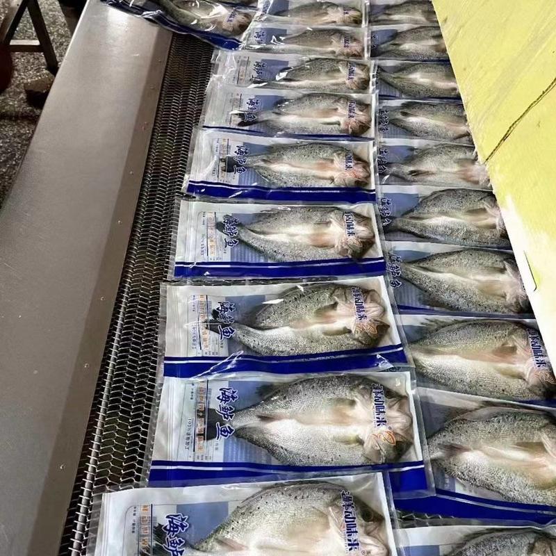 活鱼速冻开背鲈鱼，质量好，价格优。全国冷链物流发货。