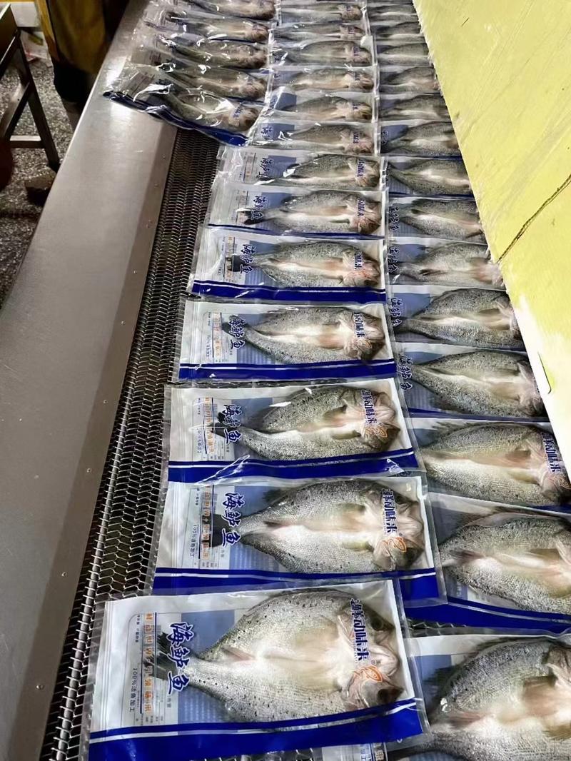 活鱼速冻开背鲈鱼，质量好，价格优。全国冷链物流发货。