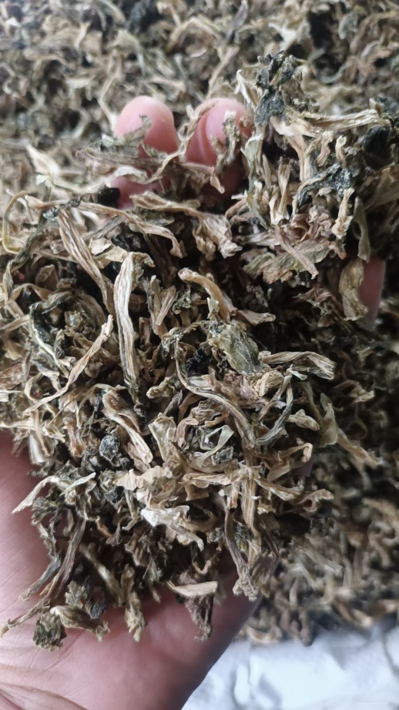 精品水洗雪里蕻梅干菜大量有货