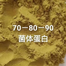 菌体蛋白肽蛋白70-80-90水分8以内