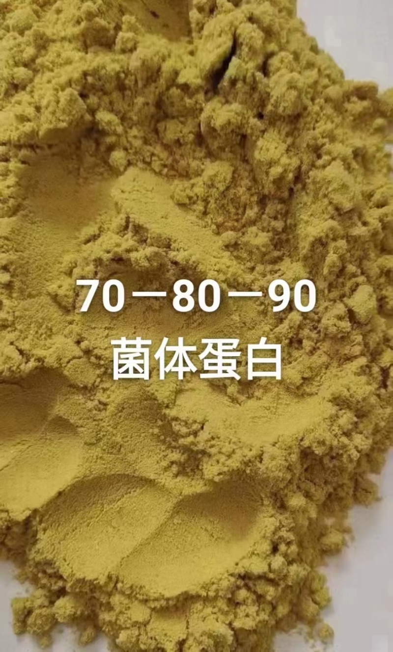 菌体蛋白肽蛋白70-80-90水分8以内