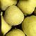 安徽砀山酥梨口感酥甜产地直发价格优惠欢迎来电咨询