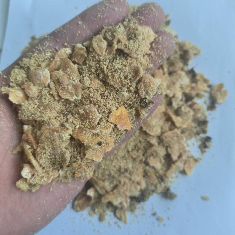 玉米压片发酵饲料量大从优厂家供货质量保证欢迎咨询